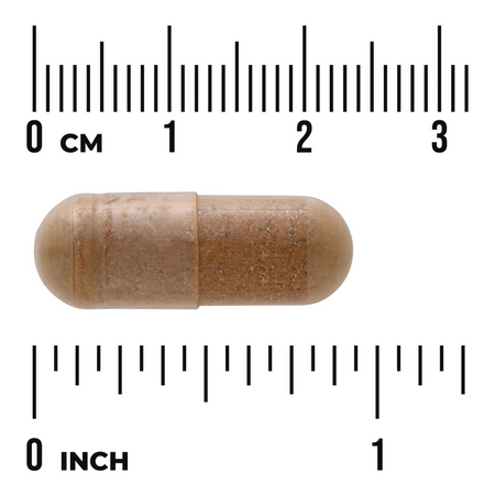 Swanson Mniszek Lekarski (Dandelion) 515 mg 60 kapsułek