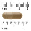 Swanson Gotu Kola Ekstrakt 100 mg 120 kapsułek