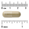 Swanson Full Spectrum Andrographis Paniculata 400 mg 60 kapsułek