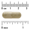 Swanson Echinacea 400 mg 100 kapsułek