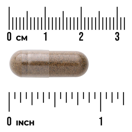 Swanson Głóg (Hawthorn) Extract 500 mg 120 kapsułek