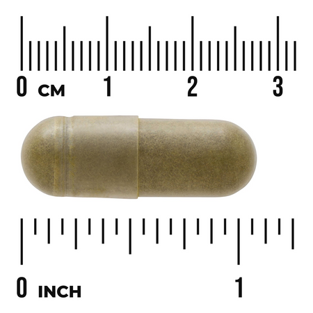 Swanson Moringa Olejodajna (Moringa Oleifera) 400 mg 60 kapsułek