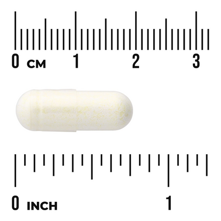 Swanson ALA Kwas Alfa Liponowy 100mg 120 kapsułek