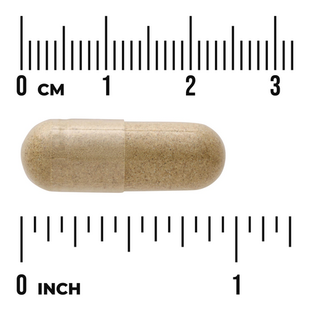 Swanson Drapacz Lekarski (Blessed Thistle) 400 mg 90 kapsułek