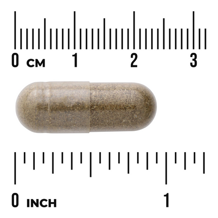 Swanson Melisa Lekarska (Lemon Balm) 500 mg 60 kapsułek