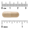 Swanson Dzięgiel (Angelica) 400 mg 60 kapsułka