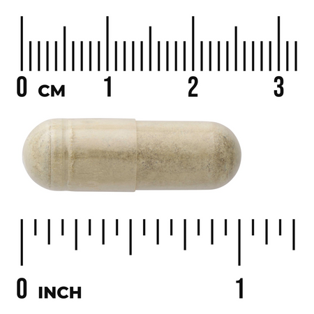 Swanson Liść Oliwny (Olive Leaf) Extract 750 mg 60 kapsułek
