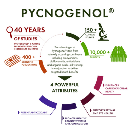 Swanson Pycnogenol 50 mg 50 kapsułek