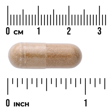 Swanson Agaricus Blazei Ekstrakt 500 mg 90 kapsułek