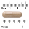 Swanson Żeń-szeń Amerykański (American Ginseng) 550 mg 100 kapsułek