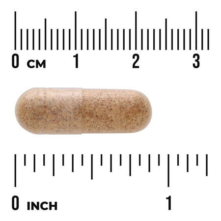 Swanson Dzika Róża 500 mg 120 kapsułek