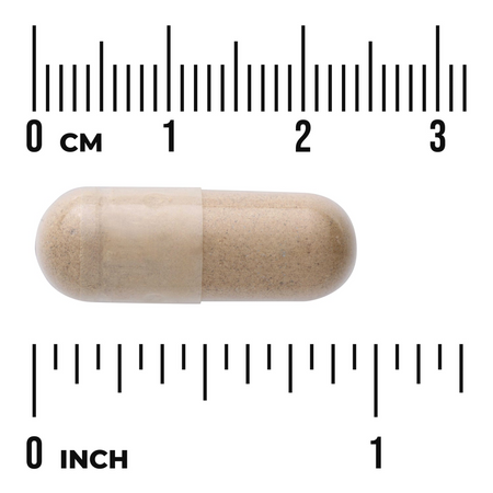 Swanson Buzdyganek (Tribulus Terrestris) Fruit 500 mg 90 kapsułek