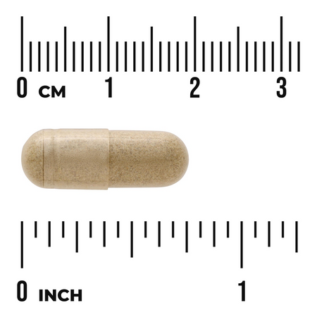 Swanson Bukko Brzozowe (Buchu Leaf) 100 mg 60 kapsułek