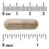 Swanson Chanca Piedra 500 mg 60 kapsułek