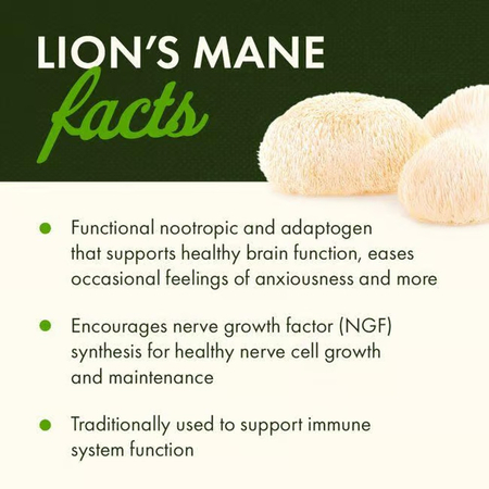 Swanson Full Spectrum Lion’s Mane Mushroom 500 mg 60 kapsułek