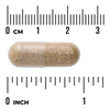 Swanson Koper Włoski (Fennel Seed) 480 mg 100 kapsułek