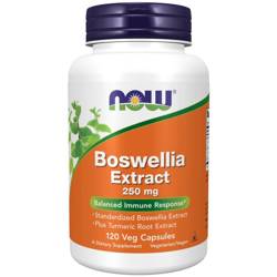 Now Foods Boswellia Extract 250 mg 120 kapsułek